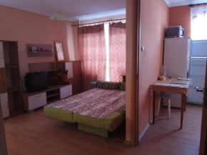 Apartment on Pionerskaya 44 in Kaliningrad